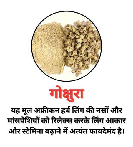 अश्वगंधा (3)